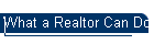 What a Realtor Can Do